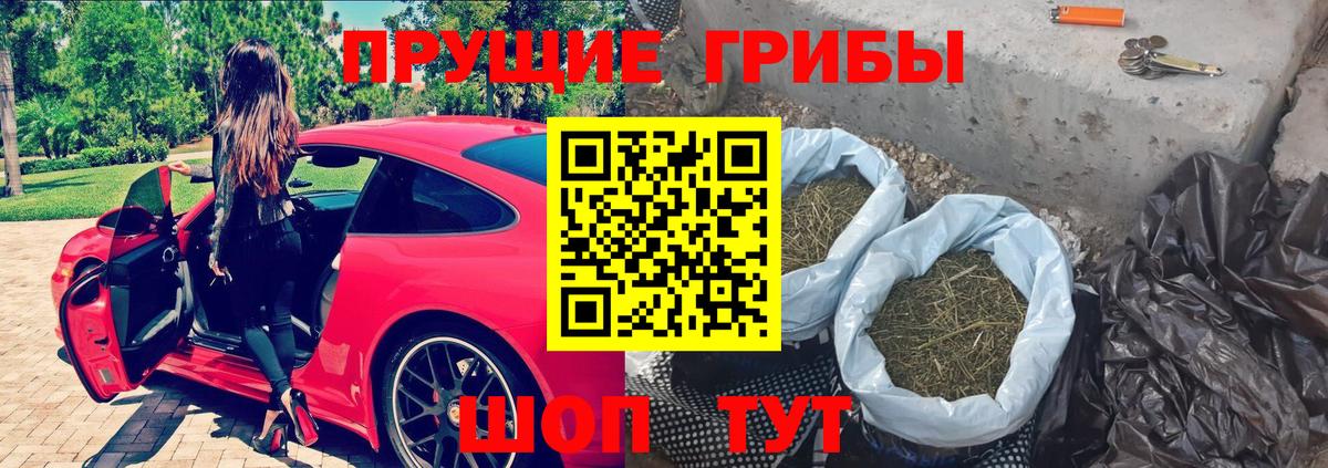 Псилоцибиновые грибы ЛСД  Псилоцибиновые грибы мухоморы  Вход с VPN  что такое   Балашов 
