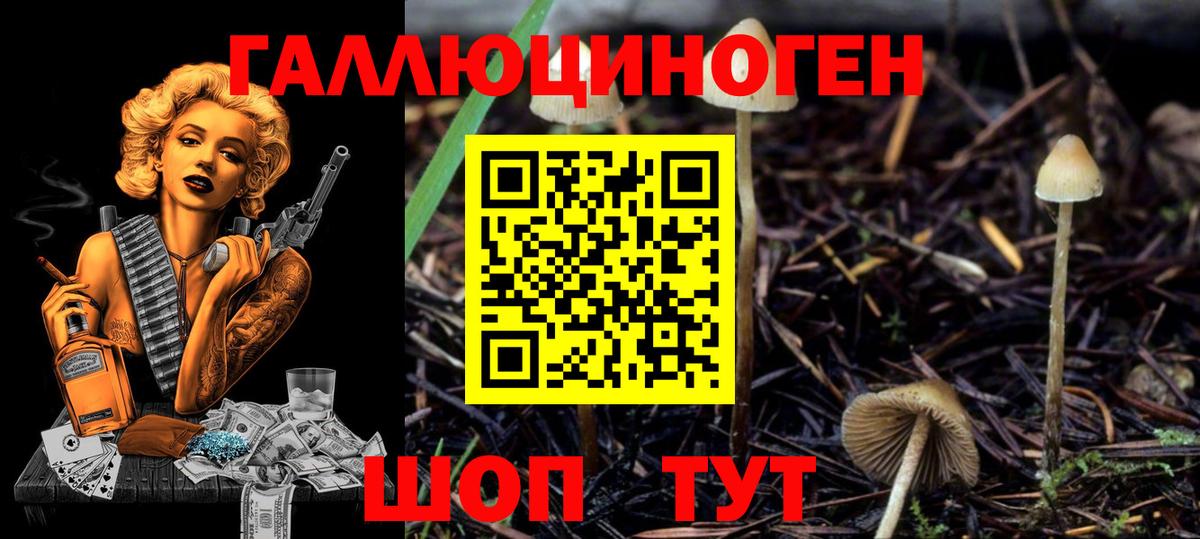 Псилоцибиновые грибы мухоморы Балашов